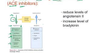 Introduction to CVS Drugs Dr Saja Hamed [upl. by Arette]