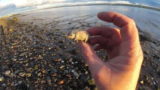 Mudlarking The Thames Reveals A Delightful Little Treasure [upl. by Airotel]