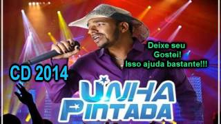 Unha Pintada Show CD 2014 Completo [upl. by Yewed]