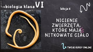 Biologia klasa 6 Lekcja 6  Nicienie  zwierzęta które mają nitkowate ciało [upl. by Huber951]