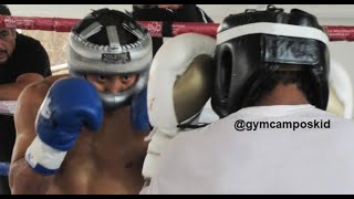 Isaac Pitbull Cruz haciendo SPARRING [upl. by Canada]