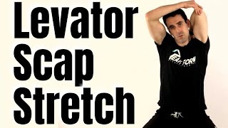 Levator Scapulae Stretch for Neck Pain Relief  San Diego Chiropractic [upl. by Hugues]