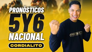 Pronósticos 5y6 Nacional Domingo 10 de Noviembre 2024  Jorgenys Martínez 🎙 GrupoCordialitoTV 🥇 [upl. by Oirramaj]