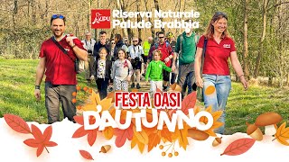 Festa dAutunno 2024  Riserva Naturale Palude Brabbia [upl. by Copp]