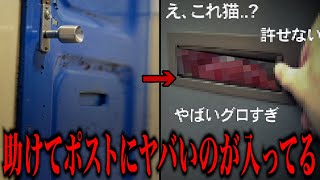 【閲覧注意】警察沙汰にもなった2ch史上最悪の事件「郵便受けにquot何かquot入ってる 前編」ネットを震撼させた恐怖体験がツッコミどころ満載だった37【ツッコミ】【なろ屋】【2ch最恐スレ】【衝撃】 [upl. by Ejroj71]