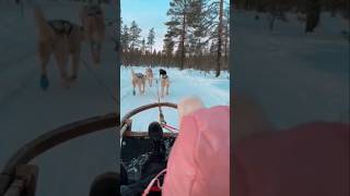 Lapland 2024 Best trip EVER [upl. by Calia]