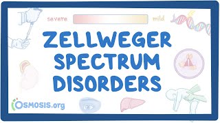 Zellweger spectrum disorders NORD [upl. by Uchida]