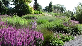 John’s Prairie Border in August  Heading Towards Its Peak [upl. by Nanine142]