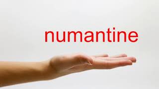 How to Pronounce numantine  American English [upl. by Moffat]