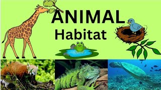 Animal Habitats  Animal Homes  For kids [upl. by Dressel195]