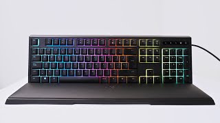 Este teclado me cambió la vida  Razer Ornata Chroma [upl. by Ynnal725]