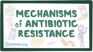 Mechanisms of antibiotic resistance [upl. by Boynton]