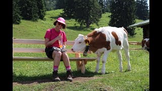 Garmisch Partenkirchen Germany  Hiking with cows in the Alps [upl. by Anoek]