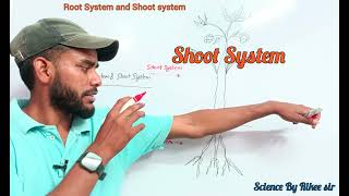 जड़ और प्ररोह प्रणालीRoot system and shoot SystemBy Rikee Sir education [upl. by Eggleston]