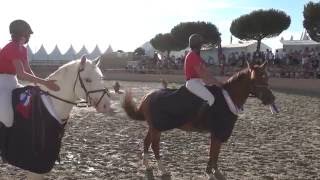 Stand CSO Poney 3D Equipe Junior [upl. by Meagher194]