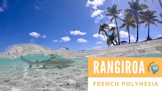 Things to do in Rangiroa French Polynesia [upl. by Raynell]