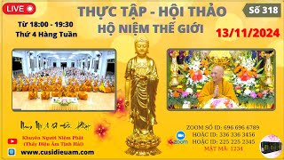 Thầy Diệu Âm Tịnh Hải  Hội Thảo Hộ Niệm Thế Giới Ngày 13112024 318 [upl. by Eb]