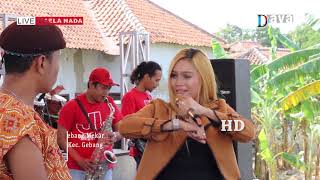 Sekyu  Desi Paraswati  NAELA NADA Live Kemurang Brebes [upl. by Farnsworth356]