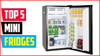 The 5 Best Mini Fridges of 2024 [upl. by Obeng]