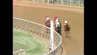 Affirmed wins the Belmont Stakes 1978 [upl. by Langille]