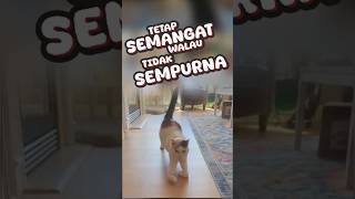 tetap semangat walau tidak sempurna [upl. by Myriam]