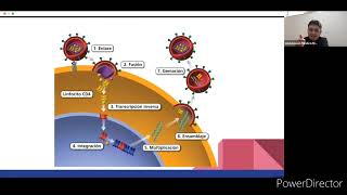 Ciclo de replicación del VIH Diplomado AMMVIH [upl. by Annadiana]