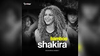 Shakira Bamboo Dancehall Remix Dj Mons [upl. by Orlina]