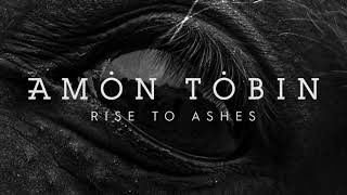 Amon Tobin  Rise to Ashes Official Audio [upl. by Grissom]