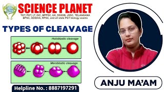 TYPES OF CLEAVAGE II BY ANJU MAM II SCIENCE PLANET II Embryonic Development [upl. by Ahgiela715]