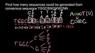 Consensus sequence  probability problem [upl. by Kauppi]