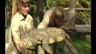 Steve Irwin  Most Dangerous Encounters Part 4 [upl. by Herv]