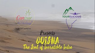 Orissa VLOG  Orissa tourism  odisha tourism  Govt of Odisha  Orissa india  odisha map [upl. by Kieffer]