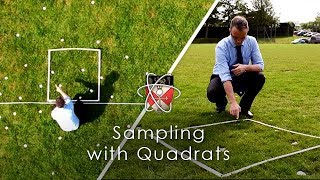 Sampling with Quadrats  GCSE Biology Required Practical [upl. by Kurtzig]