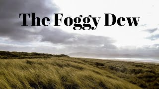 The Foggy Dew  Mad For Trad  Banjo and Guitar [upl. by Fermin]