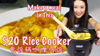 Use a 20 Rice cooker to make a mealChicken curry 电饭煲咖喱鸡饭 [upl. by Nugent3]