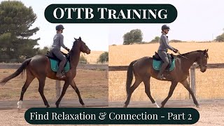 Teaching Your OTTB To Stretch Under Saddle [upl. by Jeavons163]