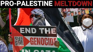 Unhinged proPalestine activists send elite universities into meltdown [upl. by Dirk571]