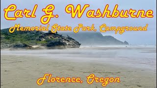 Carl G Washburne Memorial State Park Campground and Beach review June 2024 [upl. by Suoiluj]