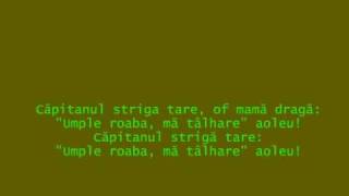 Sa votat Codu Penal  Valeriu Sterian [upl. by Hallutama]