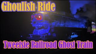 Tweetsie Ghost Train 2024 Full Train Ride [upl. by Bryana]