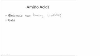 Gaba and Glutamate 5 min [upl. by Naara498]