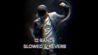 12 BANDE SLOWED amp REVERB SONG [upl. by Lizzy]