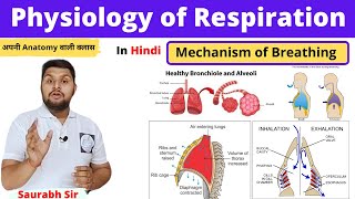 Mechanism of RespirationPhysiology of respiration in Hindi inspiration expirationNursing NEET [upl. by Gaile]