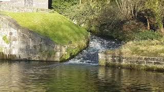 bingley 5 rise locks [upl. by Farwell153]