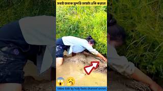 আজব ব্যাপার মেয়েটা একি করলো😱fishing tools item amp fishing idea in hole youtubeshorts shorts [upl. by Hen]