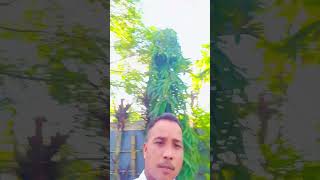 bikal belar asadharon view automobile doyelagrovlog doyelagro travel [upl. by Nnyloj]