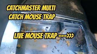 Catchmaster Multi Catch Mouse Trap Works Great [upl. by Wilda]