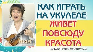 ЖИВЕТ ПОВСЮДУ КРАСОТА  Ю Антонов на УКУЛЕЛЕ аккорды Как играть на Укулеле  уроки Укулеле [upl. by Oilla]