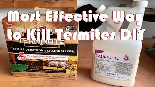 Most Effective Way to Get Rid of Termites Yourself [upl. by Revlys722]