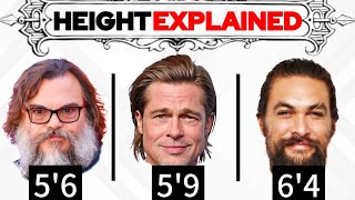 ALL Mens Height Categories Explained Complete Breakdown [upl. by Arawaj414]